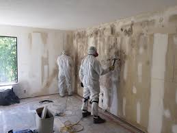 Best Commercial Mold Inspection  in Hartley, CA